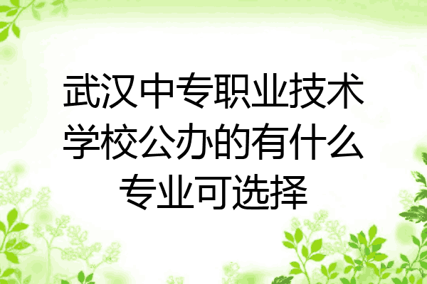 武汉中专职业技术学校公办的有什么专业可选择