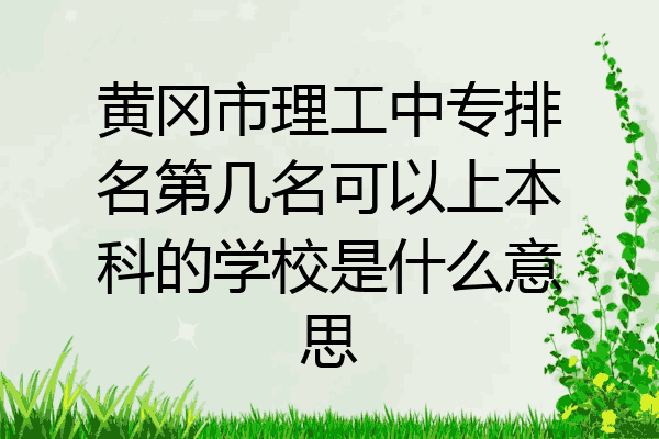 黄冈市理工中专排名第几名可以上本科的学校是什么意思