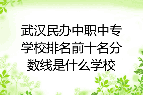 武汉民办中职中专学校排名前十名分数线是什么学校