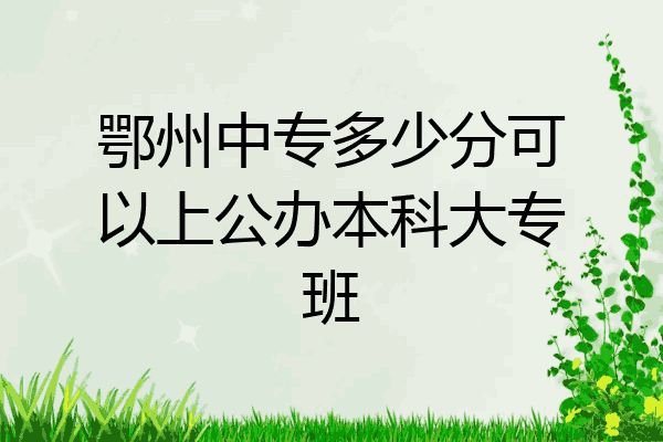 鄂州中专多少分可以上公办本科大专班