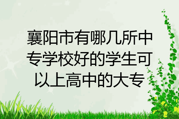 襄阳市有哪几所中专学校好的学生可以上高中的大专