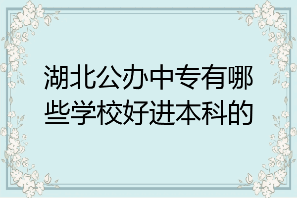 湖北公办中专有哪些学校好进本科的