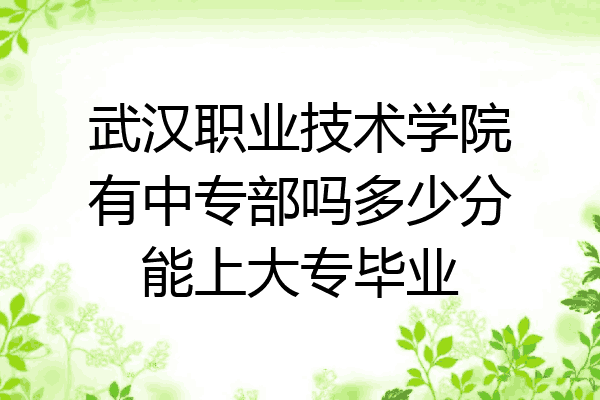 武汉职业技术学院有中专部吗多少分能上大专毕业