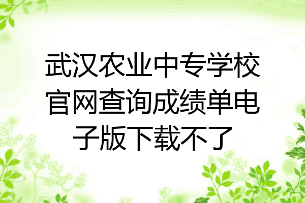 武汉农业中专学校官网查询成绩单电子版下载不了