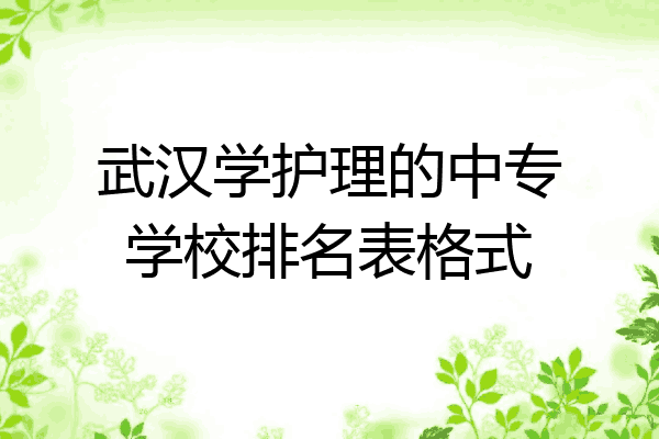 武汉学护理的中专学校排名表格式