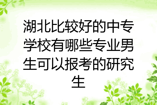 湖北比较好的中专学校有哪些专业男生可以报考的研究生