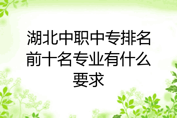 湖北中职中专排名前十名专业有什么要求
