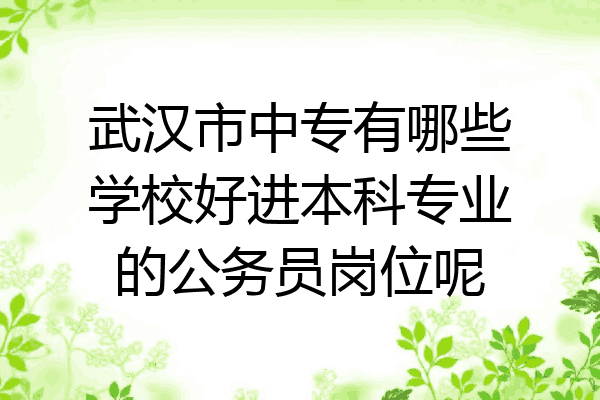 武汉市中专有哪些学校好进本科专业的公务员岗位呢
