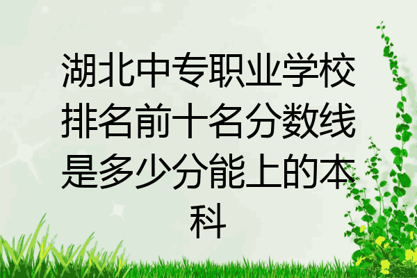 湖北中专职业学校排名前十名分数线是多少分能上的本科