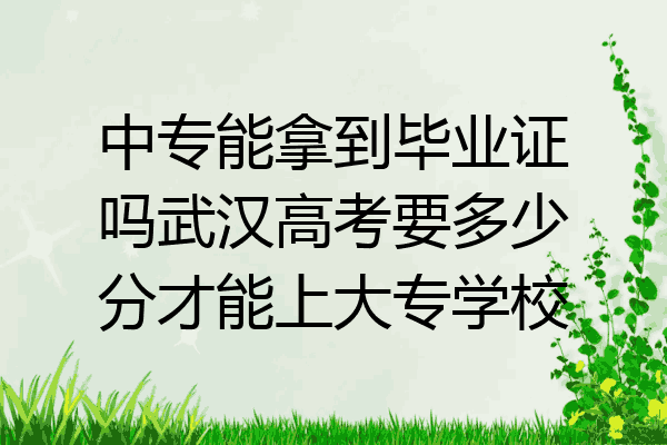 中专能拿到毕业证吗武汉高考要多少分才能上大专学校