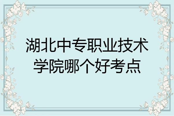 湖北中专职业技术学院哪个好考点