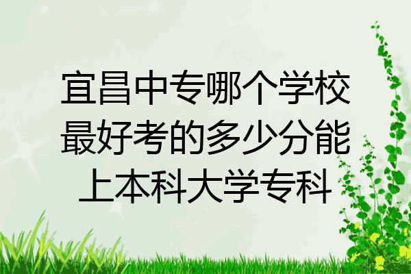 宜昌中专哪个学校最好考的多少分能上本科大学专科