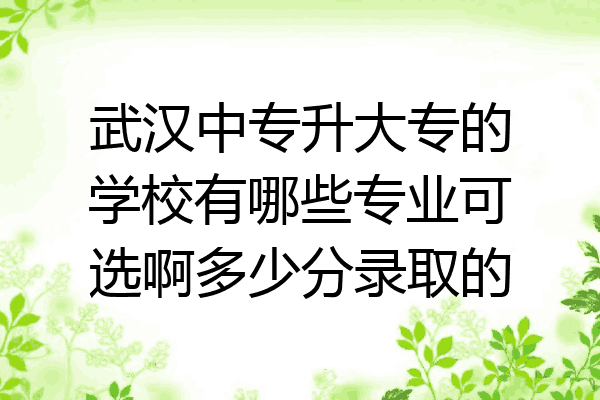 武汉中专升大专的学校有哪些专业可选啊多少分录取的