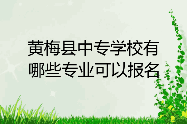 黄梅县中专学校有哪些专业可以报名