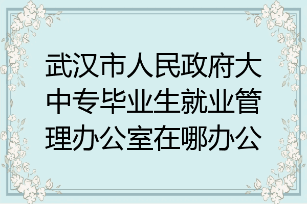 武汉市人民政府大中专毕业生就业管理办公室在哪办公