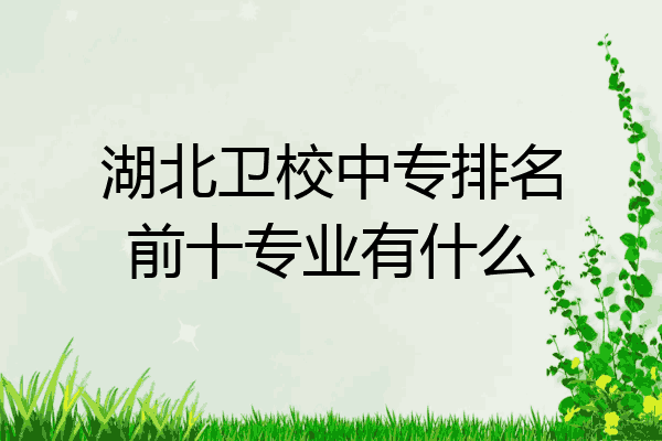 湖北卫校中专排名前十专业有什么