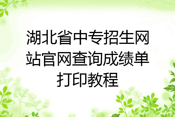 湖北省中专招生网站官网查询成绩单打印教程