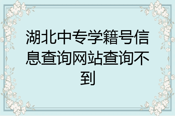 湖北中专学籍号信息查询网站查询不到