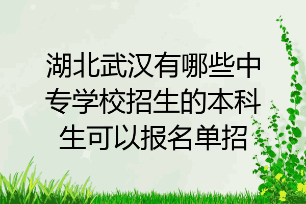 湖北武汉有哪些中专学校招生的本科生可以报名单招