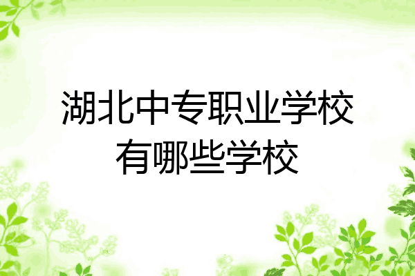 湖北中专职业学校有哪些学校