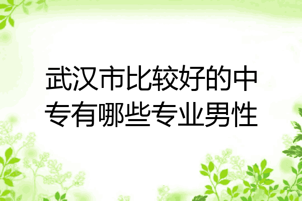 武汉市比较好的中专有哪些专业男性