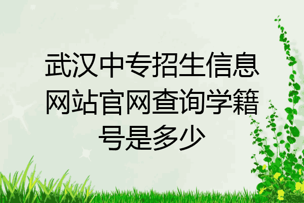 武汉中专招生信息网站官网查询学籍号是多少