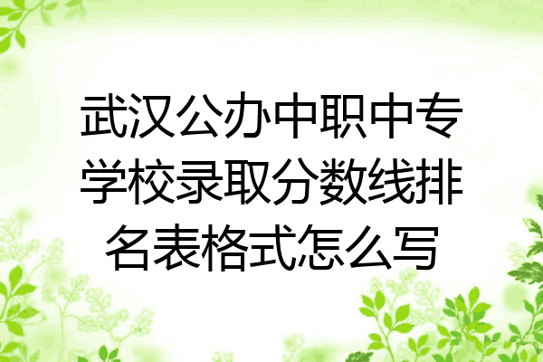 武汉公办中职中专学校录取分数线排名表格式怎么写