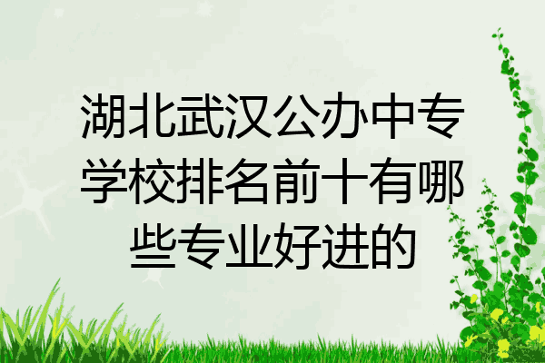 湖北武汉公办中专学校排名前十有哪些专业好进的