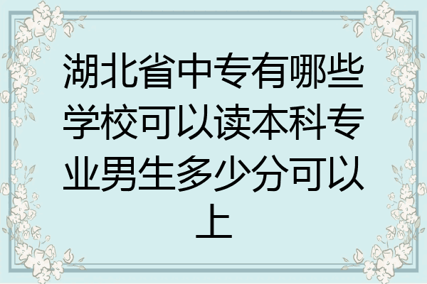 湖北省中专有哪些学校可以读本科专业男生多少分可以上