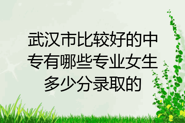 武汉市比较好的中专有哪些专业女生多少分录取的