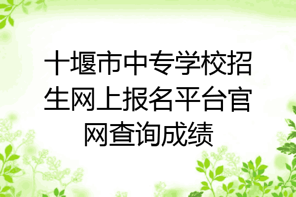 十堰市中专学校招生网上报名平台官网查询成绩