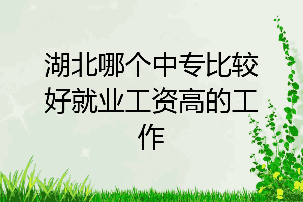 湖北哪个中专比较好就业工资高的工作