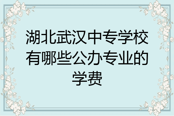 湖北武汉中专学校有哪些公办专业的学费