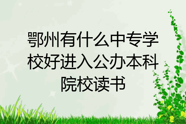 鄂州有什么中专学校好进入公办本科院校读书