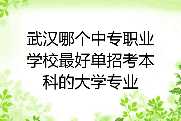 武汉哪个中专职业学校最好单招考本科的大学专业