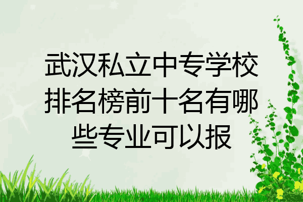 武汉私立中专学校排名榜前十名有哪些专业可以报
