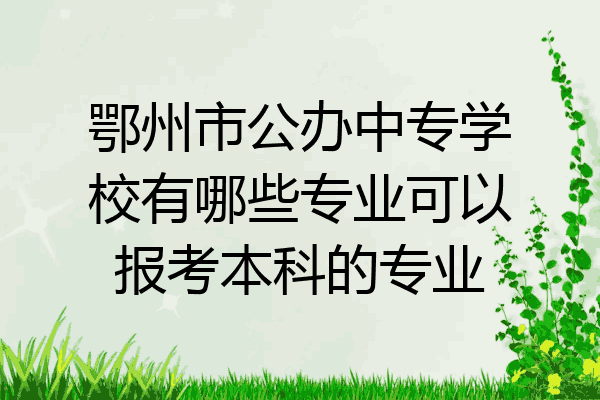 鄂州市公办中专学校有哪些专业可以报考本科的专业