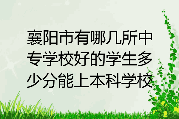 襄阳市有哪几所中专学校好的学生多少分能上本科学校