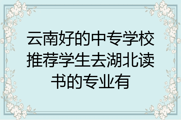 云南好的中专学校推荐学生去湖北读书的专业有