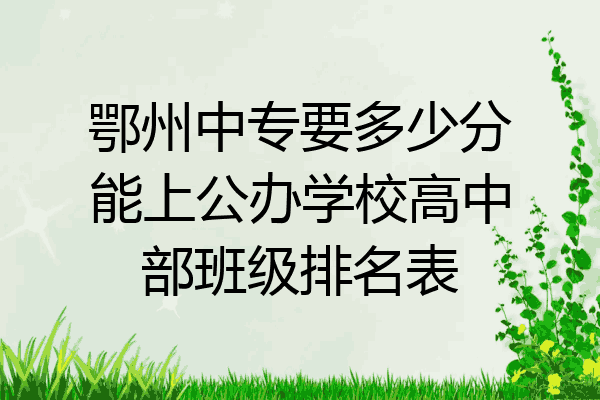 鄂州中专要多少分能上公办学校高中部班级排名表