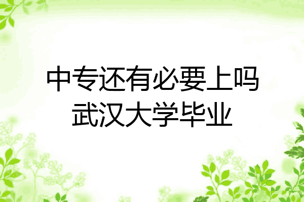 中专还有必要上吗武汉大学毕业