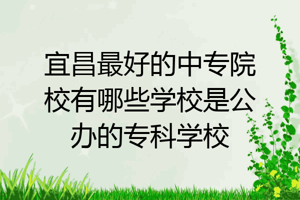 宜昌最好的中专院校有哪些学校是公办的专科学校