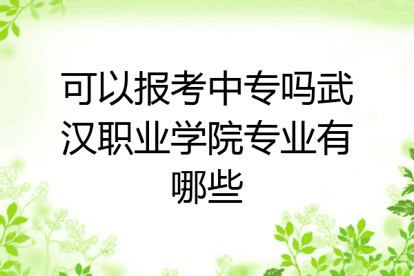 可以报考中专吗武汉职业学院专业有哪些