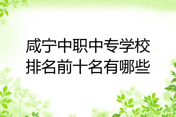 咸宁中职中专学校排名前十名有哪些