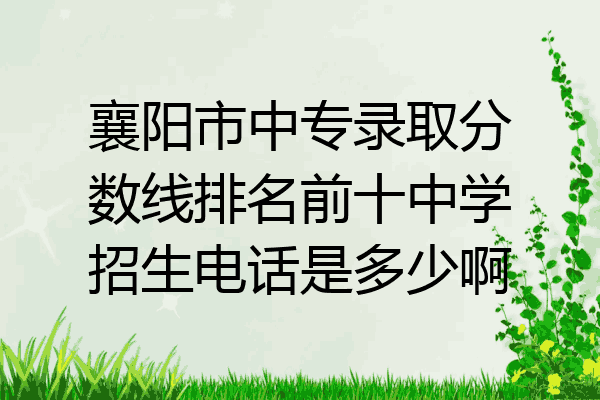 襄阳市中专录取分数线排名前十中学招生电话是多少啊