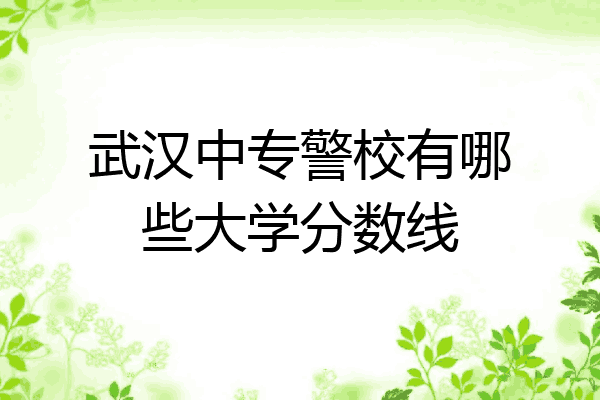 武汉中专警校有哪些大学分数线