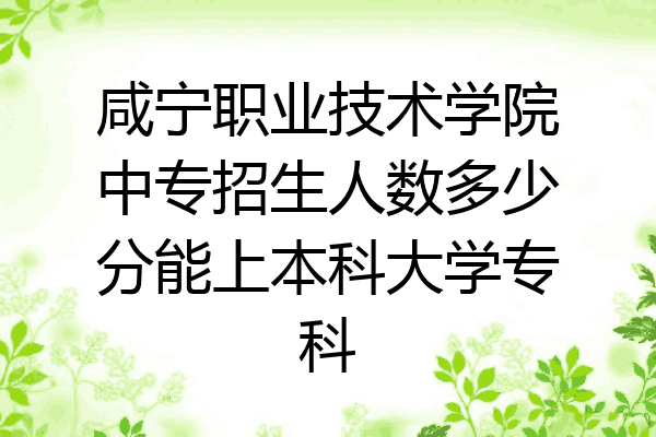 咸宁职业技术学院中专招生人数多少分能上本科大学专科