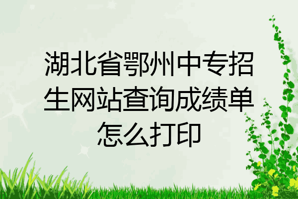 湖北省鄂州中专招生网站查询成绩单怎么打印