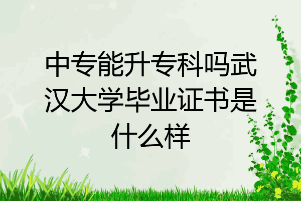 中专能升专科吗武汉大学毕业证书是什么样