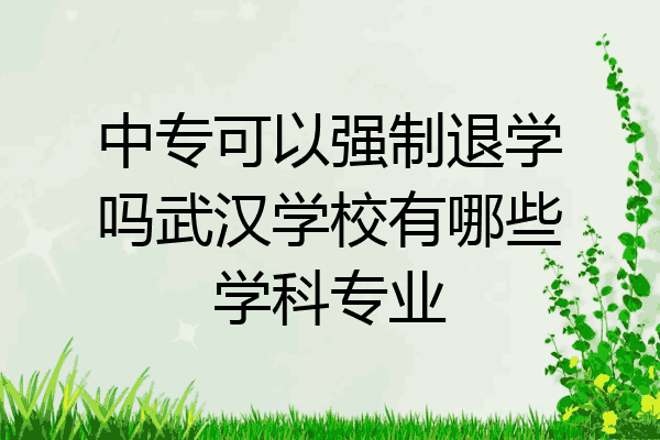 中专可以强制退学吗武汉学校有哪些学科专业